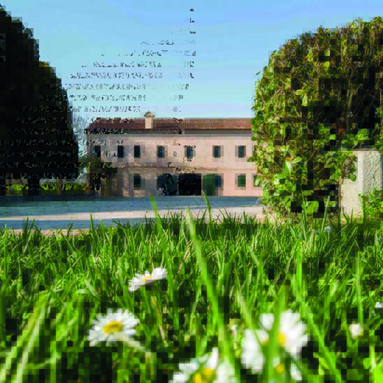 didattica_4